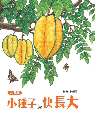 小種子，快長大-水果篇
